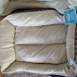2 Cat Beds